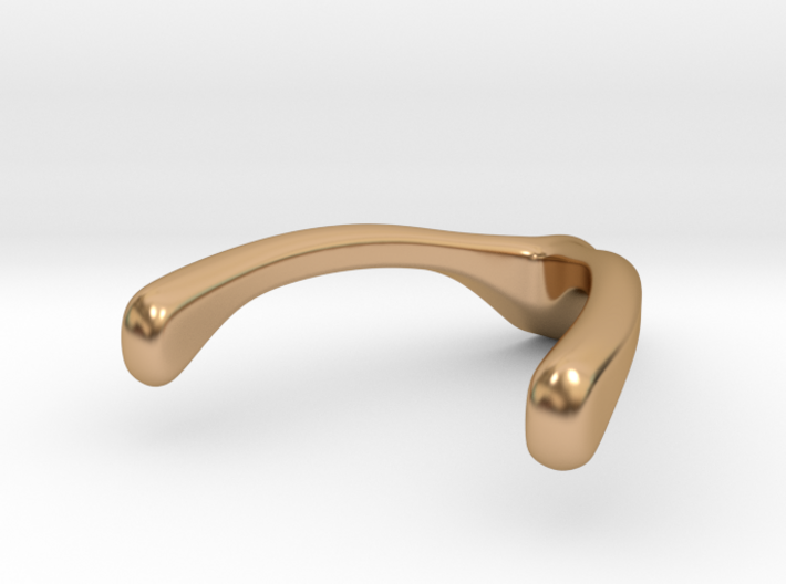 Ring Holder Pendant: Wishbone 3d printed