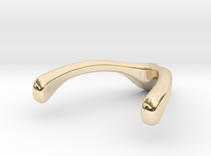 Ring Holder Pendant: Wishbone 3d printed
