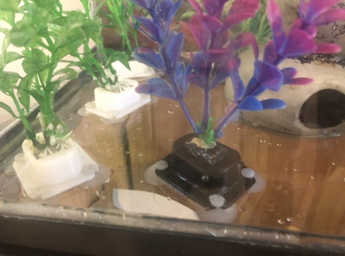 Fish Tank Artificial Plant Holder 3d printed can support short and tall plants