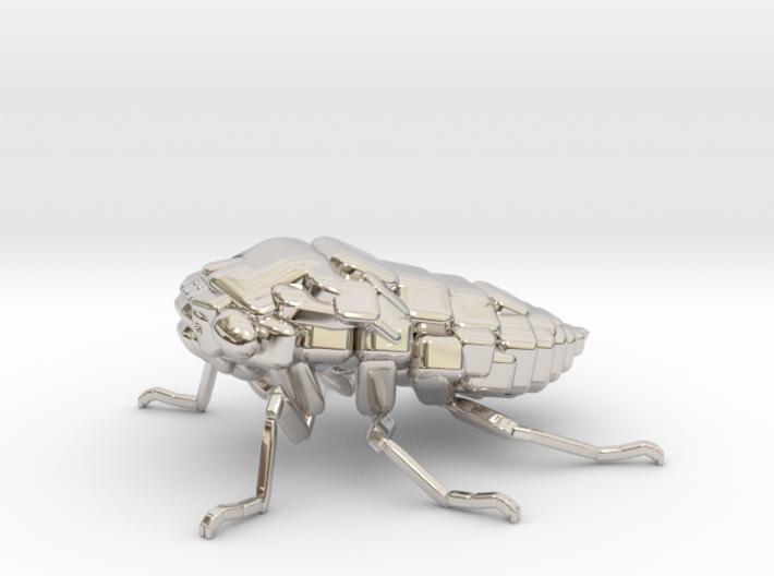 Cicada! The Somewhat Square-ish Sculpture 3d printed Platinum cicada for the riches!