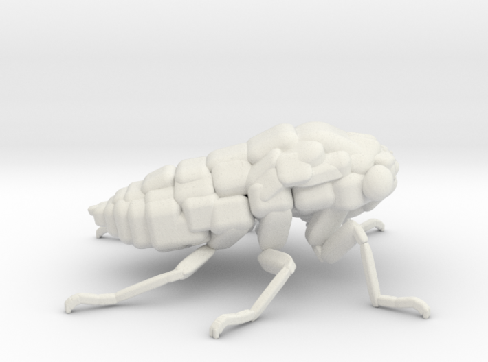 Cicada! The Somewhat Smaller Square-ish Sculpture 3d printed Color Cicada with your love!