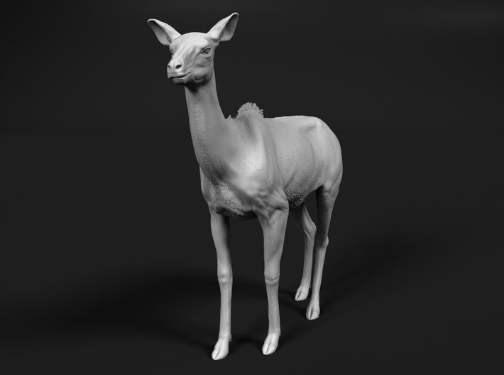 Greater Kudu 1:12 Chewing Female 3d printed