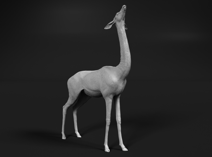 Gerenuk 1:6 Female feeding on four legs 3d printed 