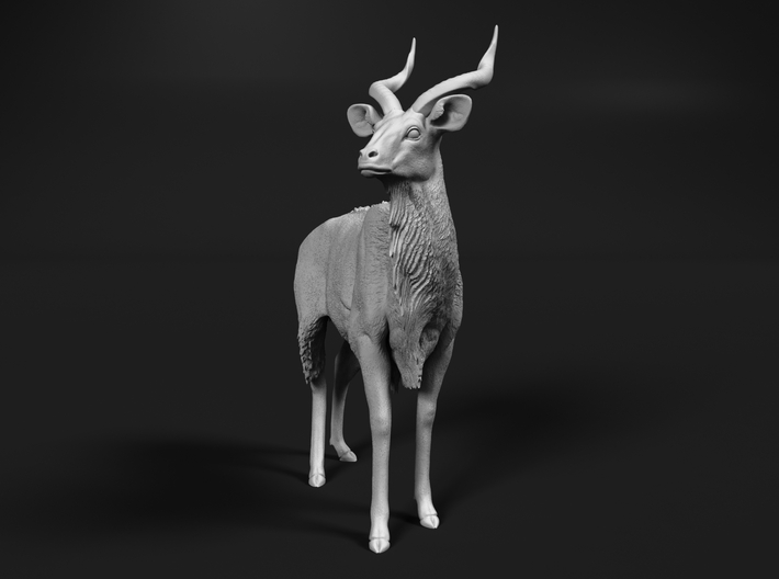 Nyala 1:22 Standing Male 3d printed 