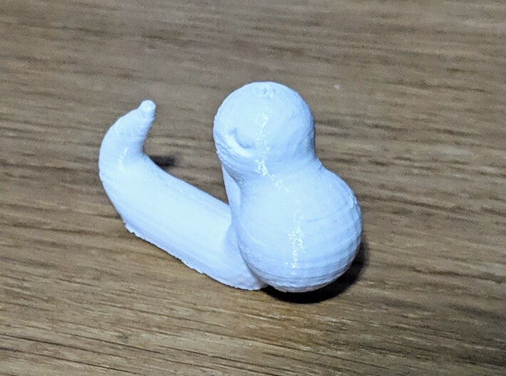 Chazz 3d printed 