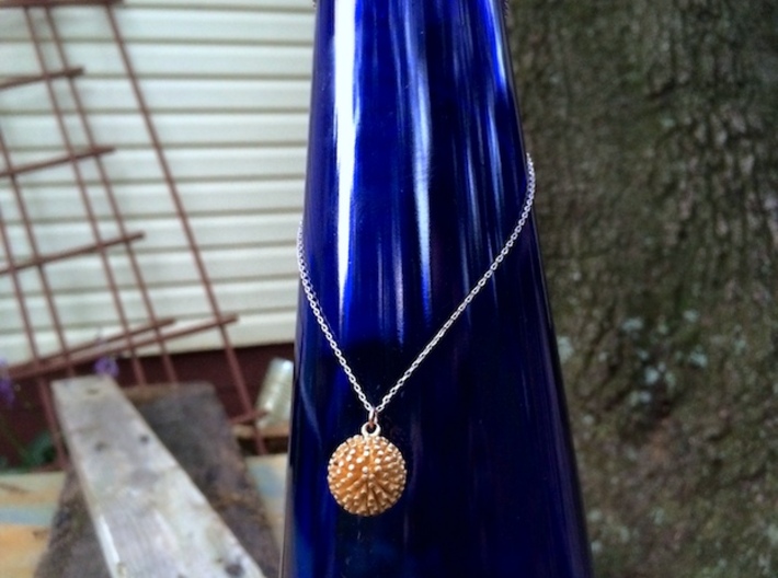 Sea Urchin Pendant 3d printed Matte Gold Steel