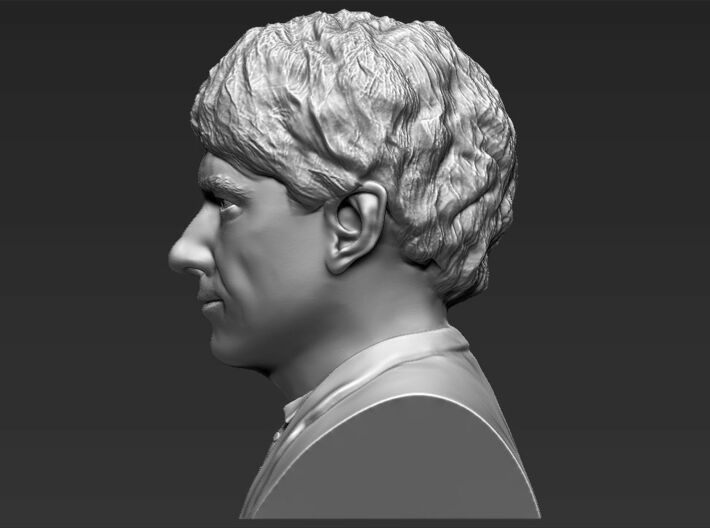 Bilbo Baggins from the Hobbit bust 3d printed 