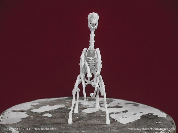 Sleipnir Skeleton 3d printed 