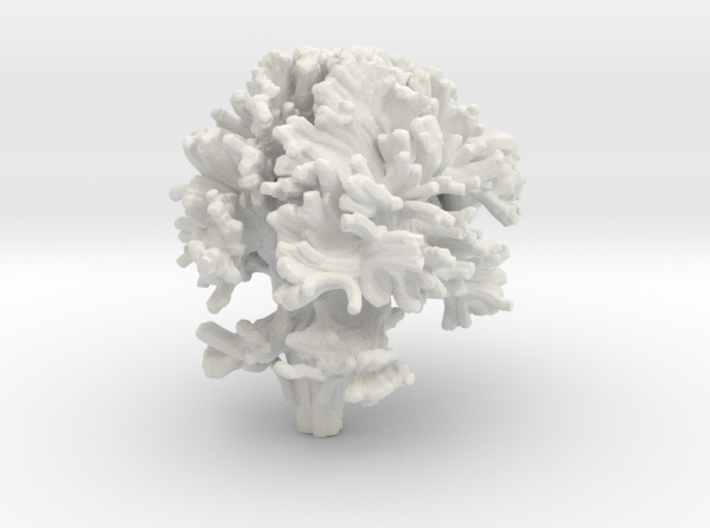 White Matter Tractography 3d printed