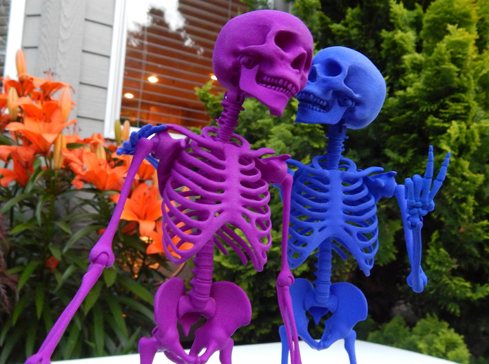 Mr Bones -- Articulated Skeleton 3d printed A secret..