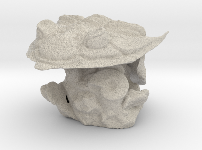 Trilobite -Huntonia Lingulifer with Ammonite stand 3d printed