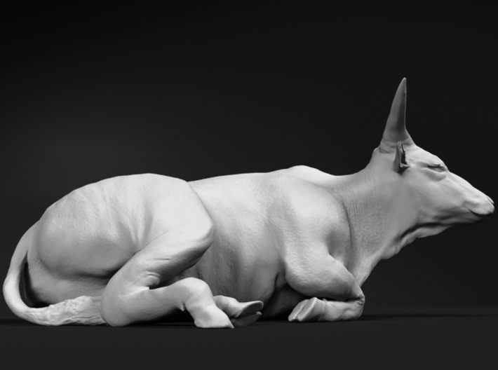 Ankole-Watusi 1:160 Lying Juvenile 3d printed 