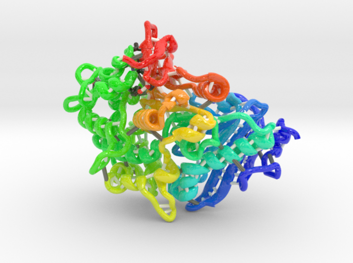 Plastic Degrading Enzyme MHETase (Large) 3d printed