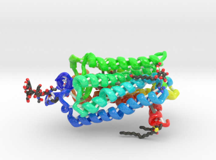 Encephalopsin Protein (Large) 3d printed