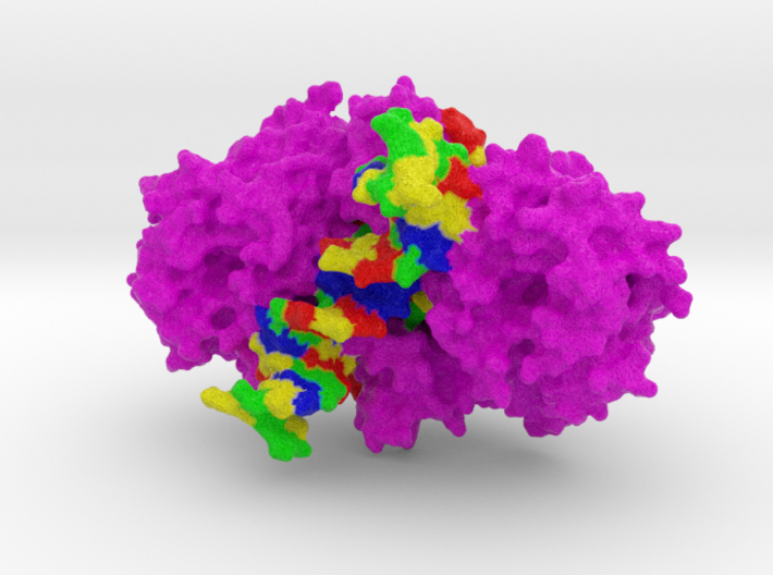 HIV Strand Transfer Complex Intasome 3d printed 