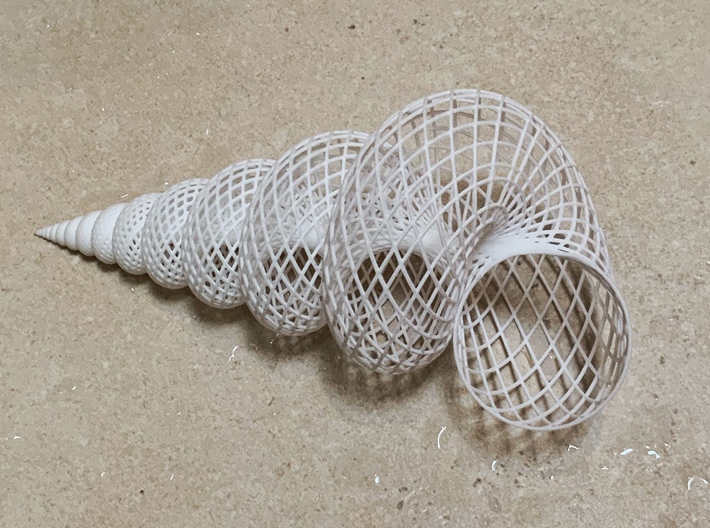 Big Mesh Auger Shell 3d printed Photo with white plastic