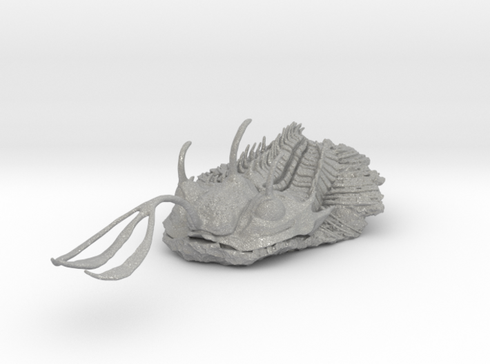 Trilobite - Walliserops Trifurcatus 3d printed