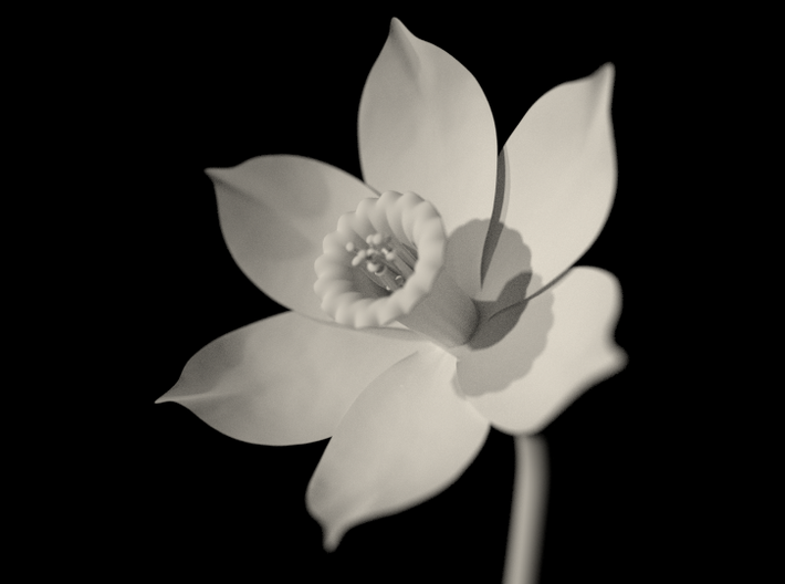 Narcissus Flower 3d printed 