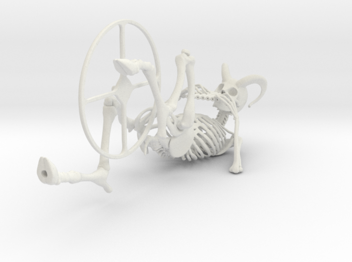 Faun Skeleton 3d printed 