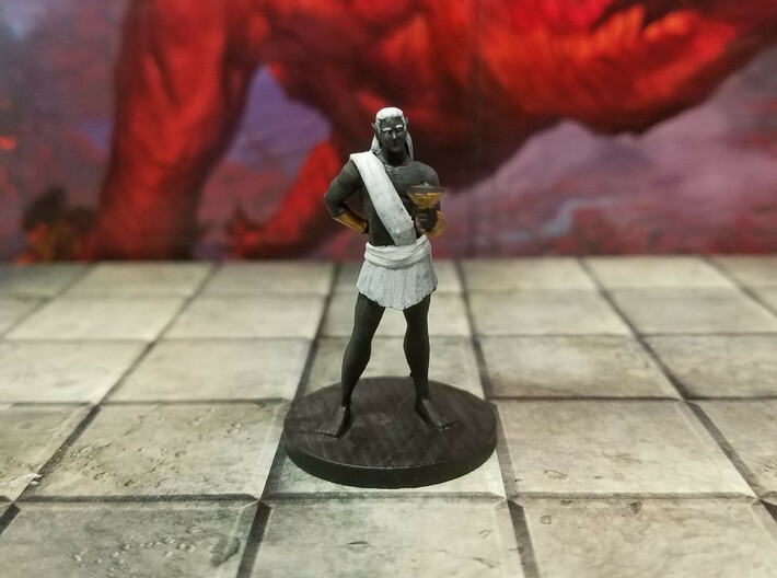 Drow Favored Consort 3d printed