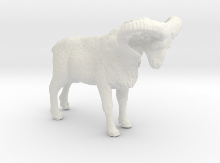 HO Scale (1:87) Bighorn Sheep Ram 3d printed