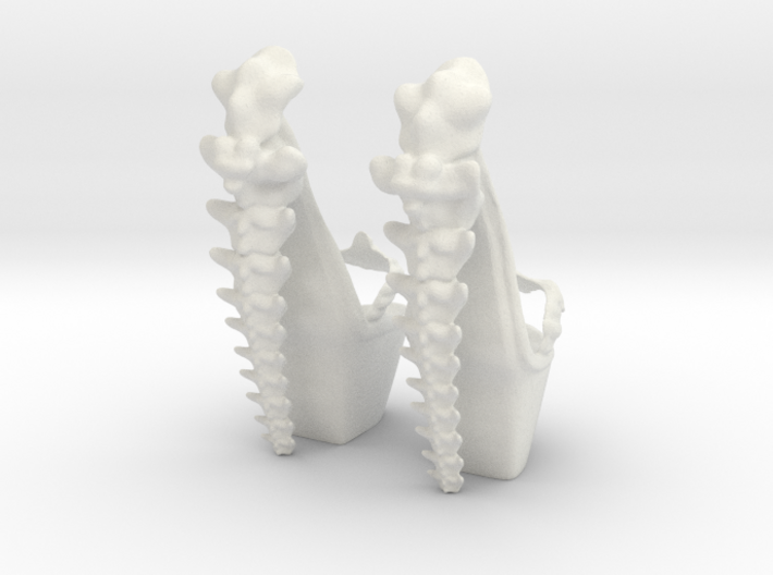 Spinal Platforms 3d printed