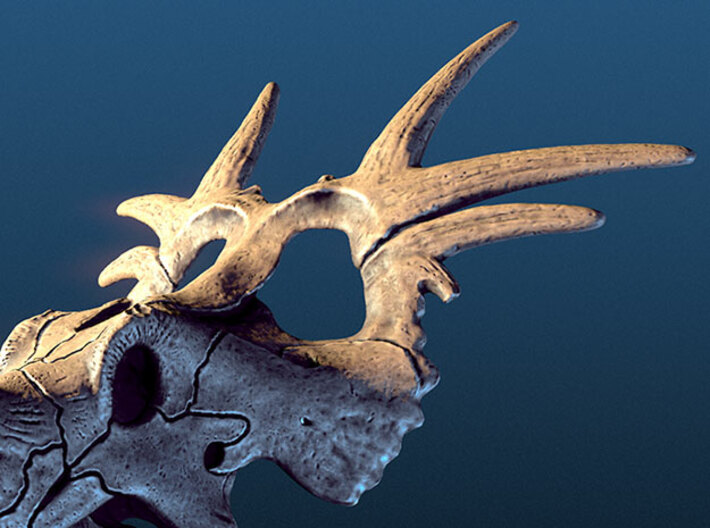 Styracosaurus skull - dinosaur model 3d printed 3D render