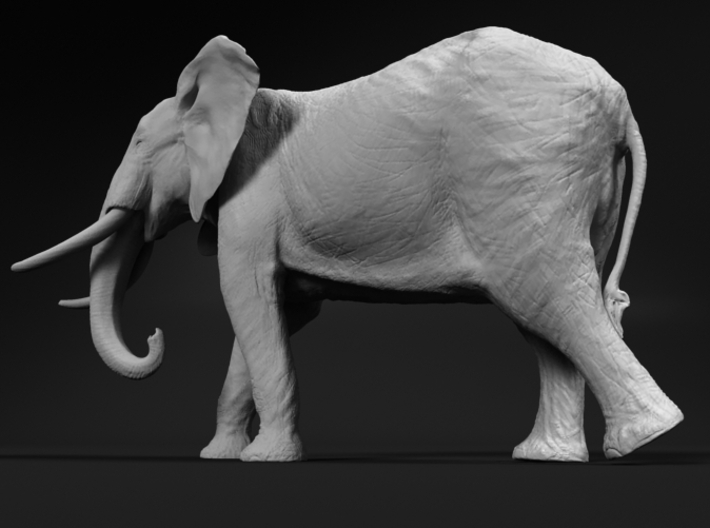 African Bush Elephant 1:72 Walking Male 3d printed