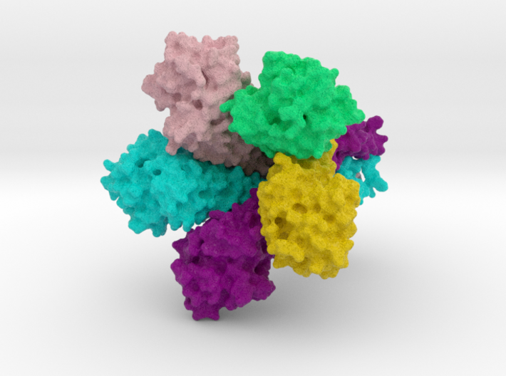Zinc Ion Transporter, ZntB (surface) 3d printed Zinc Ion Transporter ZntB