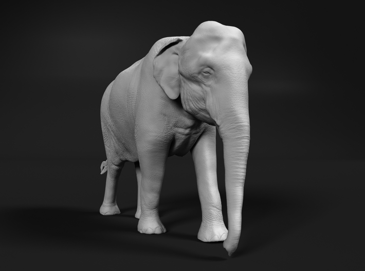 Indian Elephant 1:16 Walking Female 3d printed