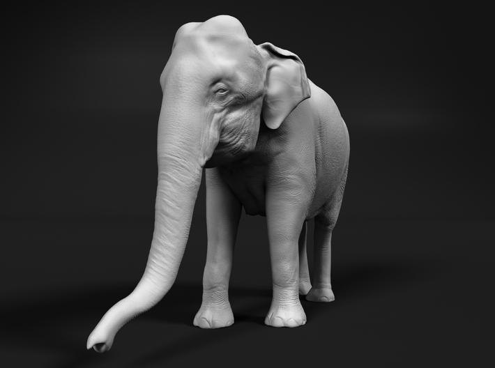 Indian Elephant 1:72 Standing Female 1 3d printed 