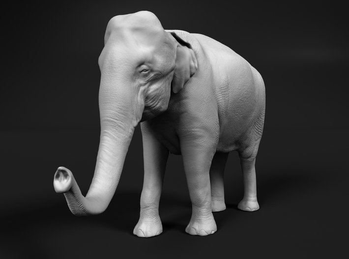 Indian Elephant 1:220 Standing Female 2 3d printed 