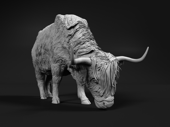 Highland Cattle 1:48 Grazing Female 1 3d printed 