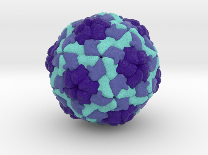 Hepatitis A Virus 3d printed