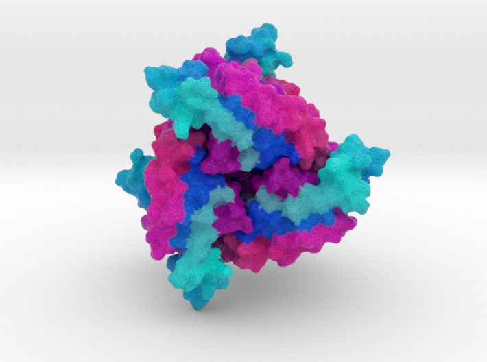 6-Pyruvoyl Tetrahydropterin Synthase 3d printed