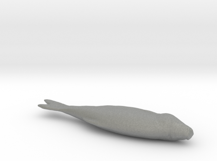 Fish 3d Scan 3d printed