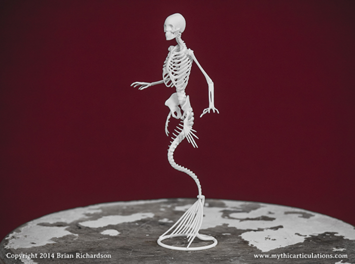 Mermaid Skeleton 3d printed 