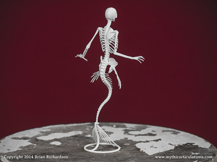 Mermaid Skeleton 3d printed 