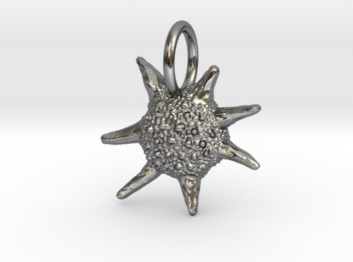 Baculogypsina Foraminifera Pendant -Marine Biology 3d printed 