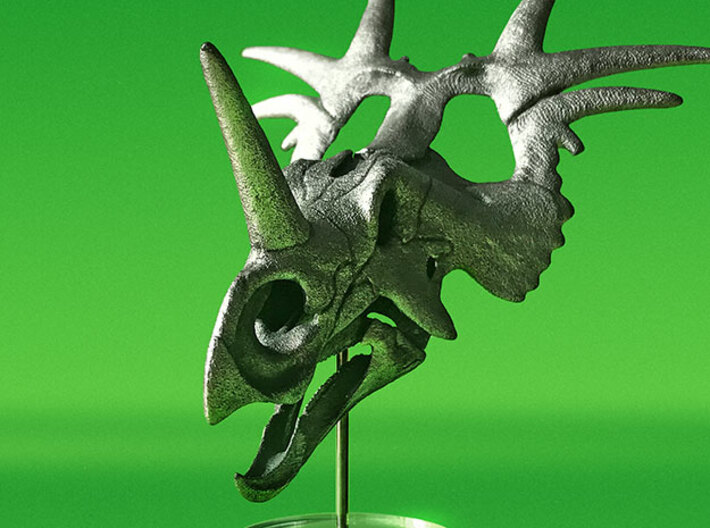 Styracosaurus skull - dinosaur model 3d printed Product photo with paint finish