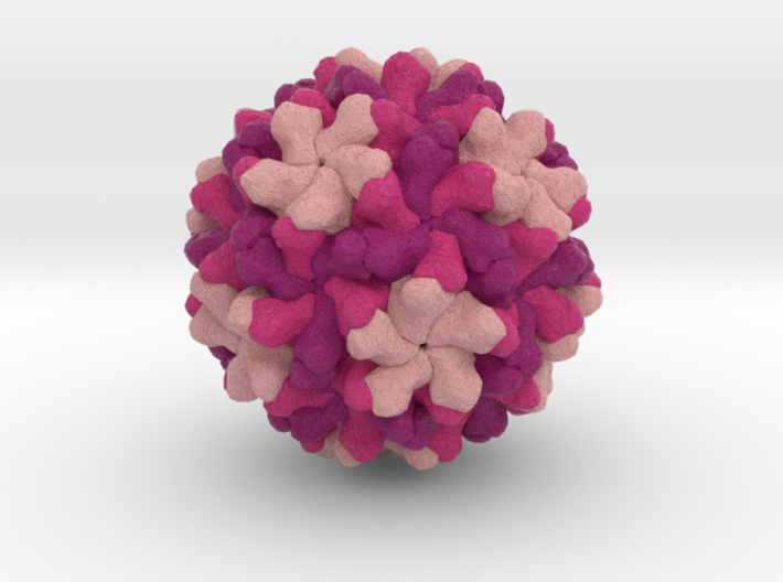 Red Clover Necrotic Mosaic Virus 3d printed