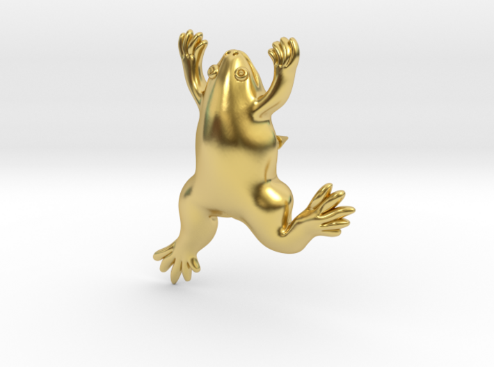 Xenopus Lapel Pin - Science Jewelry 3d printed