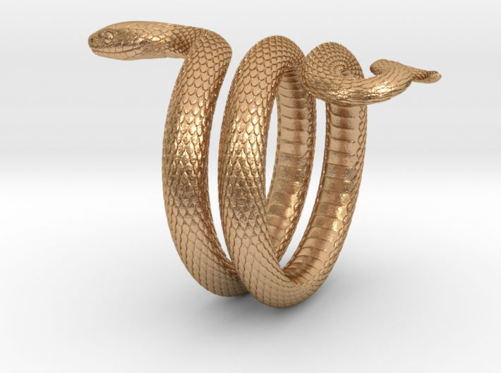 Snake Ring_R02 3d printed