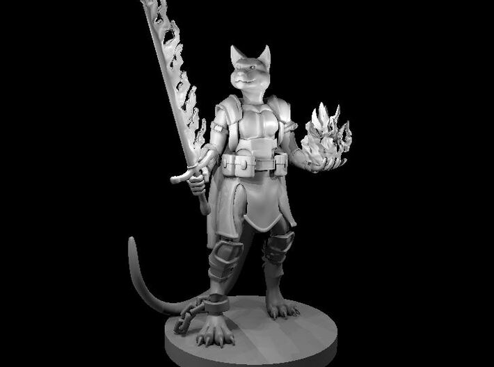 Tabaxi Female Hexblade 3d printed