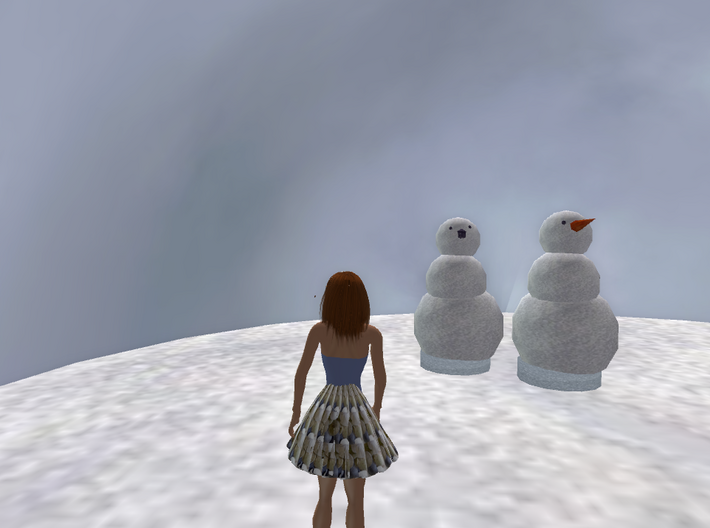 Coal The Snow Man 3d printed open sim 
picture of coal and a friend