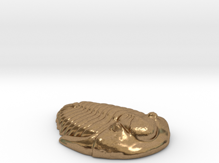 Triolobite Fossil 3d printed