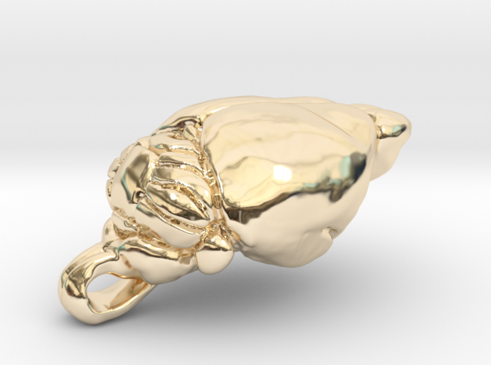 Mouse Brain Pendant (1:1, anatom. accurate) 3d printed