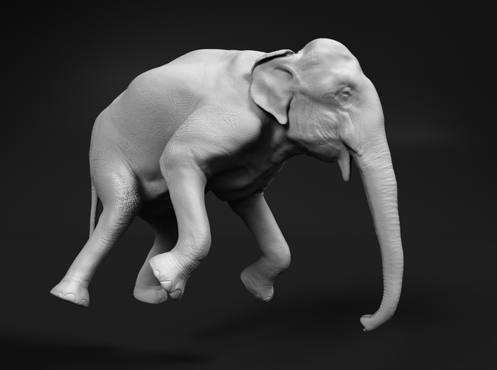 Indian Elephant 1:76 Female Hanging in Crane 3d printed