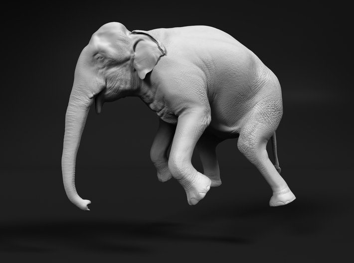 Indian Elephant 1:76 Female Hanging in Crane 3d printed 