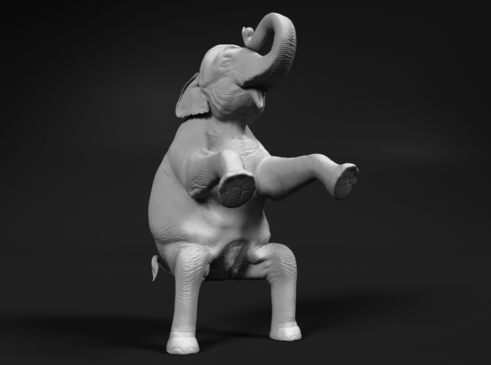 Indian Elephant 1:160 Sitting Female 3d printed 